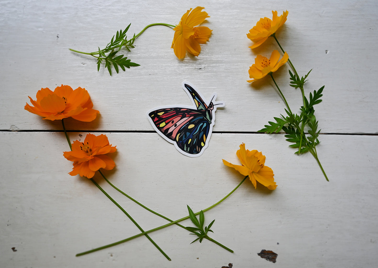 BE SET FREE Butterfly Sticker 3"